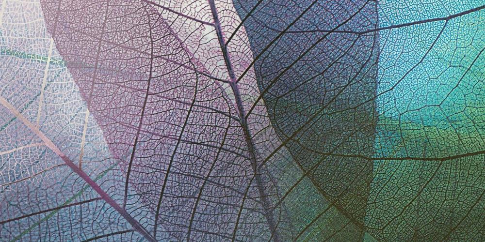 Die Rolle von Private Equity im diversifizierten Anlageportfolio sehr vermögender Privatpersonen